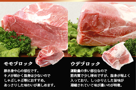 宮崎県産 THE HOUBOQ 豚肉4種のブロックミックスセット 4Kg≪ロース・バラ・モモ・ウデ≫（ブロック肉の食べ比べセット）［宮崎県 椎葉村 国産 国産豚 ぶた 豚 ポーク 豚肉 にく おにく 肉 お肉 ブロック肉 食べ比べ セット やきにく 焼肉 バーベキュー BBQ 便利 料理 多用途 重宝 冷凍 日本三大秘境］【HB-125】