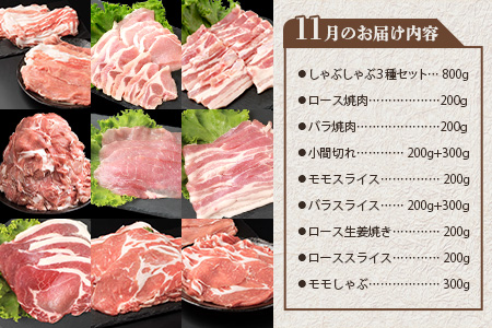 宮崎県産 THE HOUBOQ 豚肉定期便 3回配送（3月・7月・11月) 冷凍庫泣かせのお肉大満喫セット［宮崎県 椎葉村 国産 国産豚 ぶた 豚 ポーク 豚肉 にく おにく 肉 お肉 バラ 小間切れ ロース モモ ミンチ カツ しゃぶしゃぶ やきにく 焼肉 セット 冷凍 便利 多用途 料理 日本三大秘境］【HB-128】
