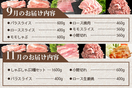 宮崎県産 THE HOUBOQ 豚肉定期便 6回配送 お肉大満喫セット［宮崎県 椎葉村 国産 国産豚 ぶた 豚 ポーク 豚肉 にく おにく 肉 お肉 バラ ミンチ ロース 小間切れ ロースカツ モモ スライス 生姜焼き セット しゃぶしゃぶ やきにく 焼肉 冷凍 料理 便利 多用途 重宝 日本三大秘境］【HB-130】