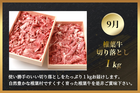【定期便4回】総重量2.4kg！椎葉牛 大自然の中で味わう焼肉・BBQ定期便≪焼き肉・ステーキ・切り落とし・ローストビーフ≫【A5等級指定 黒毛和牛】A5ランク a5 A5【日本三大秘境 椎葉村 育ちの黒毛和牛】
