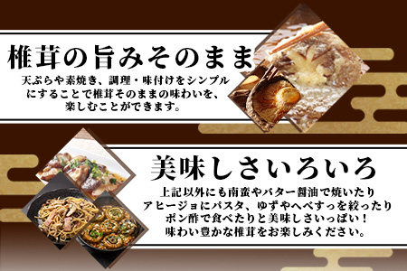 【訳あり】【徳用】秘境・椎葉村産 原木 乾しいたけ 900g（300g×3袋）【森林率96％の村の宝】［送料無料 宮崎県産 国産 原木椎茸 椎茸 シイタケ しいたけ 乾しいたけ 干し椎茸 産地直送 きのこ グアニル酸 ビタミンD おすすめ 栄養 美容 食物繊維 煮物 みそ汁 汁もの ダシ 出汁 お鍋 鍋 特産品 ご当地 お取り寄せ 大容量 調味料 ギフト 贈物 プレゼント お中元 お歳暮］【JA-34】