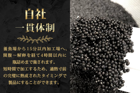 〈12回定期便〉【桐箱入り】 国産 キャビア 30g × 12回配送 計360g【世界三大珍味×日本三大秘境】 宮崎 椎葉 国産 チョウザメ キャビア 魚卵 定期便 魚介 珍味 贈答 希少 SZ-104_12teiki