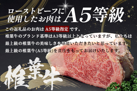 【３回定期便】宮崎県産 椎葉牛 ローストビーフブロック 200g（100g×2P）［定期便 宮崎 椎葉 ローストビーフ 国産 国産牛 黒毛和牛 和牛 牛肉 肉 牛 お肉 ブロック肉 冷凍 ギフト おすすめ 人気］TK-103