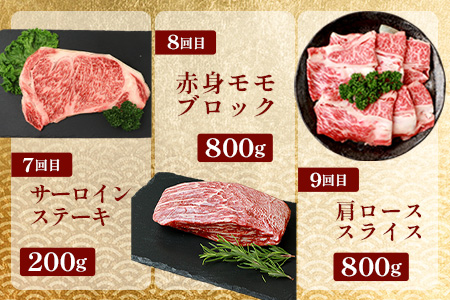 【 定期便 全10回 】 10ヶ月連続でお届け！ 牛肉 オール椎葉牛大満足セット 総重量 5,180g 【 日本三大秘境 椎葉村 育ちの黒毛和牛 】[ 牛肉 ステーキ 精肉 ホルモン モモ肉 ヒレ肉 定期便 定期配送 肉 スライス肉 サーロイン A5等級指定 黒毛和牛 ブランド牛 A5ランク おすすめ 送料無料 ] TK-105