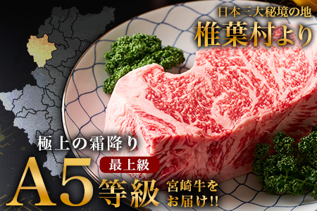 年内発送対応可【A5ランク】 宮崎牛 すき焼き 2種 食べ比べ 肩ロース420g・牛もも420g 計840g すき焼き しゃぶしゃぶ | ふるさと納税 すき焼き しゃぶしゃぶ 肉 牛肉 高級肉 黒毛和牛 国産 モモ 肩ロース 宮崎県 椎葉村 人気 送料無料 | TK-115