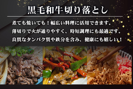  宮崎県産 和牛 切り落とし 900g ［宮崎県 椎葉村 国産 国産牛 黒毛和牛 和牛 牛 牛肉 赤身 肉 お肉 すき焼き カレー 冷凍］【TK-35】
