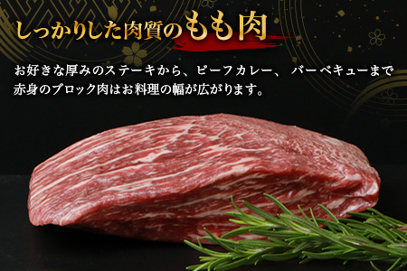 宮崎牛 赤身ももブロック 500g TK-85 [宮崎県 椎葉村 和牛 黒毛和牛 牛肉 牛 肉 もも肉 精肉 人気 おすすめ]