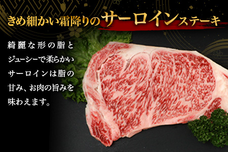 宮崎牛 サーロインステーキ 200g TK-87 [宮崎県 椎葉村 和牛 黒毛和牛 牛肉  牛 肉 お肉 ステーキ 精肉 人気 おすすめ]