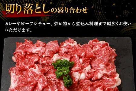 宮崎牛 切り落とし 1kg TK-93 [宮崎県 椎葉牛 和牛 黒毛和牛 牛肉 牛 肉 お肉 精肉 切り落とし 人気 おすすめ]