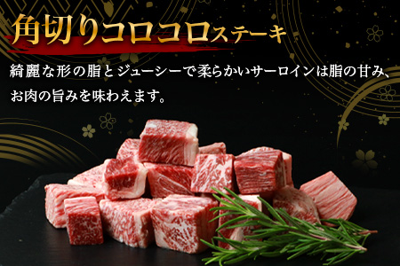 宮崎牛 赤身の角切りコロコロステーキ 500g TK-94 [宮崎県 椎葉村 牛肉  牛 肉 お肉 精肉 サイコロステーキ 人気 おすすめ 和牛]