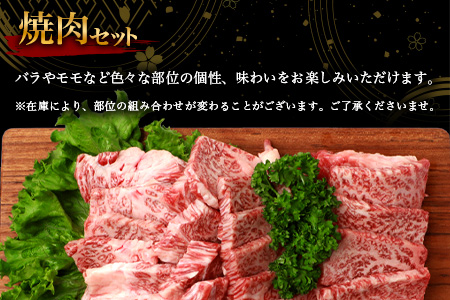 宮崎牛 焼肉セット 600g TK-97 [宮崎県 椎葉村 和牛 黒毛和牛 牛肉 牛 肉 お肉 焼肉 精肉 人気 おすすめ]