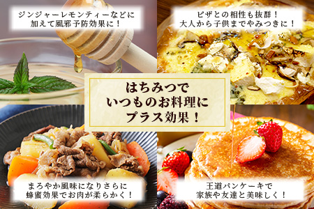 【無添加 非加熱】標高800m たっちゃんのこだわり蜂蜜【170g×3本】(送料無料 宮崎県 椎葉村 秘境 蜂蜜 はちみつ ハチミツ みつばち ミツバチ 伝統的 養蜂 国産 天然 百花蜜 巣箱 数量限定 季節 希少 防災 備蓄 170g 340g 510g) TN-06