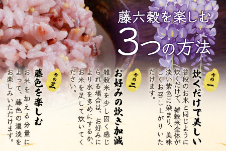 【3回定期便】【雑穀米】藤の花色に染まる美しい六穀米《藤六穀》300g×3袋 3回配送【世界農業遺産 高千穂郷・椎葉山地域】送料無料 定期便 定期 保存食 非常食 米 お米 ご飯 ご当地 贈り物 手土産 お土産 挨拶 祝い ギフト 父 母 栄養 健康 うるち米 たかきび 挽割とうもろこし もちあわ もち麦 黒米【TT-16】