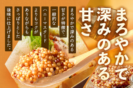 【1月より順次発送】【椎葉村産のはちみつ】を使用したハニーマスタード！ゴッドマイト 90g × 3個 計 270g | ハニーマスタード マスタード 90g 270g 3個 はちみつ 蜂蜜 粒マスタード 万能ソース 宮崎県 椎葉村 おすすめ 純粋はちみつ | TT-20