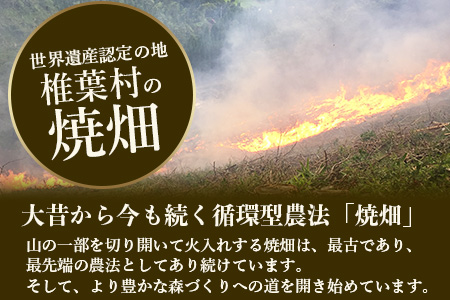 【世界農業遺産の産物】焼畑農家がつくったよもぎ茶 ティーバック【野草茶】［送料無料 宮崎 椎葉 よもぎ茶 ヨモギ茶 蓬茶 よもぎ ヨモギ 蓬 天然よもぎ 天然100％ 茶 お茶 ティー ティーパック 健康 手作り 自然 ギフト お土産 贈物 敬老の日 日本三大秘境 秘境 焼畑 やきはた］【YS-25】