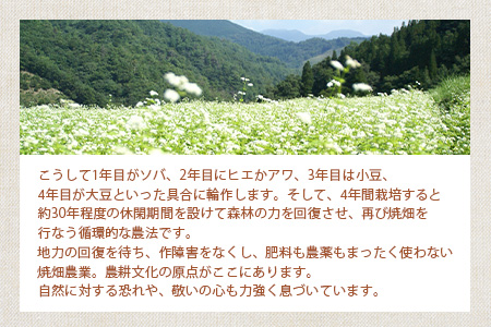 宮崎県 椎葉村の焼畑農家がつくった あわクッキー【手づくりの焼菓子】［送料無料 宮崎県 椎葉村 椎葉 日本三大秘境 秘境 焼畑 やきはた くっきー クッキー 粟 あわ 粟クッキー おやつ おかし 菓子 お菓子 焼き菓子 無添加 手作り 自然 ギフト お土産］【YS-31】