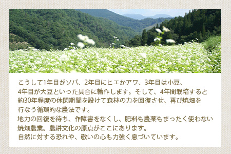 椎葉村の焼畑農家がつくった ひえクラッカー【手づくりの焼菓子】［送料無料 宮崎県 椎葉村 椎葉 日本三大秘境 秘境 焼畑 やきはた くらっかー クラッカー ひえ ひえクラッカー おやつ おかし 菓子 お菓子 焼き菓子 無添加 手作り 自然 ギフト お土産］【YS-32】