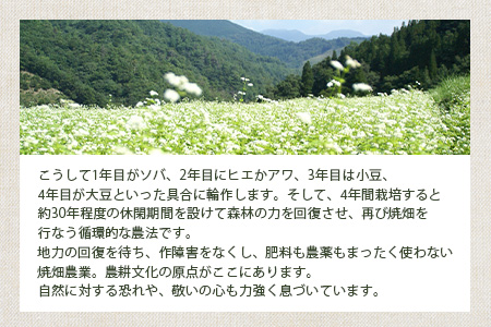 椎葉村の焼畑農家がつくった よもぎクッキー【手づくりの焼菓子】［送料無料 宮崎県 椎葉村 椎葉 日本三大秘境 秘境 焼畑 やきはた くっきー クッキー よもぎ 蓬 よもぎクッキー おやつ おかし 菓子 お菓子 焼き菓子 無添加 手作り 自然 ギフト お土産］【YS-33】