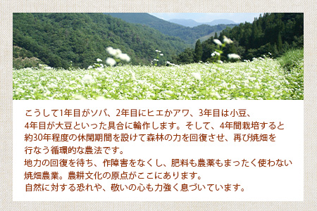 椎葉村の焼畑農家がつくった 蕎麦粉クラッカー【手づくりの焼菓子】［送料無料 宮崎県 椎葉村 椎葉 日本三大秘境 秘境 焼畑 やきはた くらっかー クラッカー 蕎麦 蕎麦粉 そば そばこ 蕎麦粉クラッカー おやつ おかし 菓子 お菓子 焼き菓子 無添加 手作り 自然 ギフト お土産］【YS-34】
