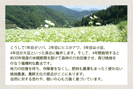 椎葉村の焼畑農家がつくった 山桑の葉クッキー【手づくりの焼菓子】［送料無料 宮崎県 椎葉村 椎葉 日本三大秘境 秘境 焼畑 やきはた くっきー クッキー 山桑 山桑の葉 山桑の葉クッキー おやつ おかし 菓子 お菓子 焼き菓子 無添加 手作り 自然 ギフト お土産］【YS-35】