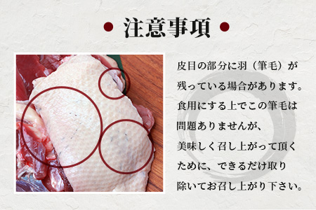 【数量限定】椎葉村産 合鴨 胸肉【合計500g】