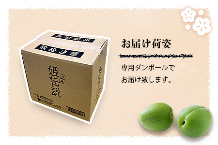 椎葉村産梅使用 梅酒「姫伝説」720ml×12本セット［ 送料無料 宮崎 椎葉 うめしゅ ウメシュ 梅酒 うめ ウメ 梅 さけ おさけ 酒 お酒 食前酒 デザート酒 女性 おしゃれ 誕生日祝い お歳暮 お祝い 12本 贈物 ギフト プレゼント］【SN-09】