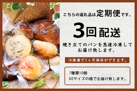 《3ヶ月定期便》【秘境・椎葉村の愛されパン屋さん】天然酵母パン 詰め合わせ 7種10個セット 【送料無料 パン 冷凍 お取り寄せ 3ヶ月 定期便 天然 酵母 詰め合せ セット 低温 長時間熟成 メロンパン あん塩 バターロール おさつ ブレッド デニッシュ ミニ食パン レーズン バターロール マヨ 朝食 手土産 手作り】【NF-27】