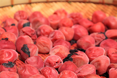 【昔ながらの伝統の味 】宮崎県椎葉村産 南高梅使用 梅干し「姫伝説」230g×6袋【合計1.38kg】