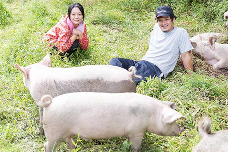 宮崎県産 THE HOUBOQ 豚肉 12ヶ月定期便 Aセット［宮崎県 椎葉村 国産 国産 国産豚 ぶた 豚 ポーク 豚肉 バラ 小間切れ ミンチ ロース スライス カツ モモ しゃぶしゃぶ セット やきにく 焼肉 バーベキュー BBQ 冷凍 料理 日本三大秘境 ］【 HB-129】