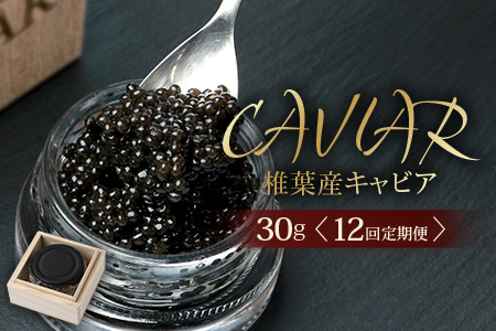 〈12回定期便〉【桐箱入り】 国産 キャビア 30g × 12回配送 計360g【世界三大珍味×日本三大秘境】 宮崎 椎葉 国産 チョウザメ キャビア 魚卵 定期便 魚介 珍味 贈答 希少 SZ-104_12teiki