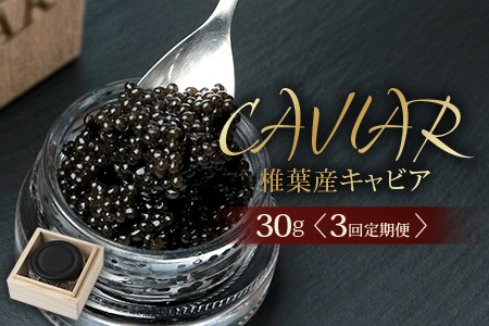 〈3回定期便〉【桐箱入り】 国産 キャビア 30g × 3回配送 計90g【世界三大珍味×日本三大秘境】 宮崎 椎葉 国産 チョウザメ キャビア 魚卵 定期便 魚介 珍味 贈答 希少 SZ-104_3teiki
