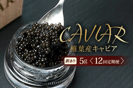 【12回定期便】【訳あり】国産 キャビア HEIKE CAVIAR 5g × 12回 計60g 【世界三大珍味×日本三大秘境】 訳あり 宮崎 椎葉 国産 チョウザメ キャビア 定期便 魚卵 魚介 珍味 贈答 希少 SZ-115_12teiki