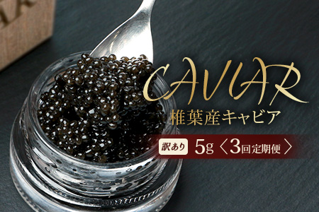 【3回定期便】【訳あり】国産 キャビア HEIKE CAVIAR 5g × 3回 計15g 【世界三大珍味×日本三大秘境】 訳あり 宮崎 椎葉 国産 チョウザメ キャビア 定期便 魚卵 魚介 珍味 贈答 希少 SZ-115_3teiki