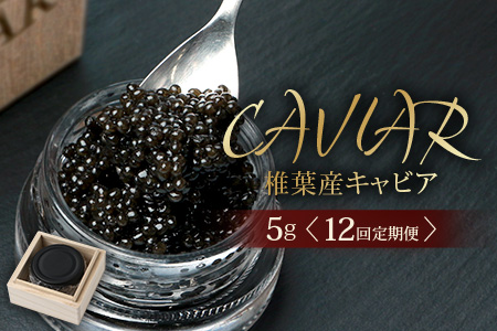 〈12回定期便〉【桐箱入り】 国産 キャビア 5g × 12回配送 計60g【世界三大珍味×日本三大秘境】 宮崎 椎葉 国産 チョウザメ キャビア 魚卵 定期便 魚介 珍味 贈答 希少 SZ-118_12teiki