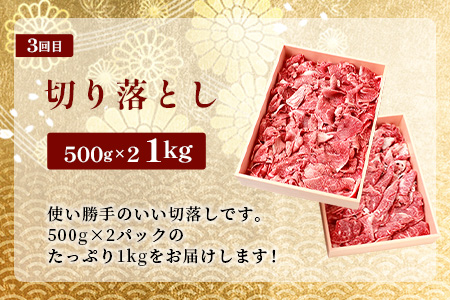 【定期便3回】総重量 1,900g 牛肉 椎葉牛の スライス肉 ＆ 切り落とし肉 お試し定期便 ３ヶ月 ３ヵ月 焼肉 焼き肉 すきやき すき焼き しゃぶしゃぶ TK-100