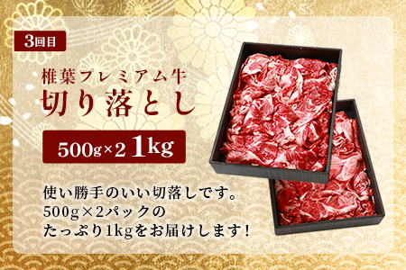 お試し定期便 【 定期便 3回 】 総重量 1,900g 牛肉 椎葉プレミアム牛の スライス肉 ＆ 切り落とし肉 定期便 【 日本三大秘境 椎葉村 育ちの黒毛和牛 】[ 牛肉 椎葉牛 椎葉プレミアム牛 定期便 定期配送 肉 スライス肉 切り落とし肉 A5等級指定 黒毛和牛 ブランド牛 A5ランク おすすめ 送料無料 ] TK-101