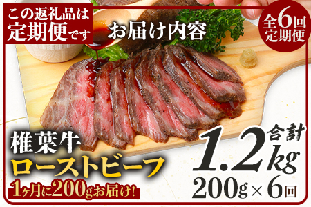 【６回定期便】 宮崎県産 椎葉牛 ローストビーフブロック 200g（100g×2P）×6回 計1.2kg［ 定期便 椎葉 国産牛 黒毛和牛 和牛 牛肉 赤身 肉 牛 お肉 ブロック肉 冷凍 定期 ギフト おすすめ 人気］TK-106