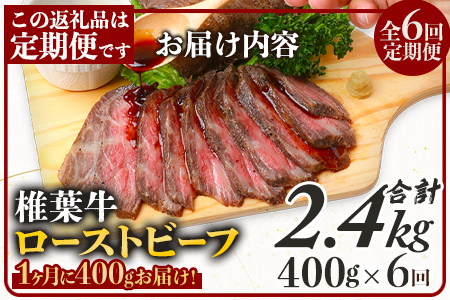 【６回定期便】 宮崎県産 椎葉牛 ローストビーフブロック 400g（100g×4P）×6回 計2.4kg［ 定期便 椎葉 国産牛 黒毛和牛 和牛 牛肉 赤身 肉 牛 お肉 ブロック肉 冷凍  定期 ギフト  おすすめ 人気］TK-107