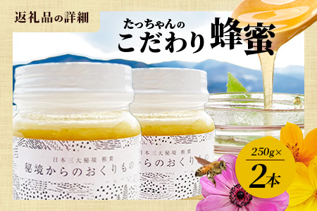 【無添加 非加熱】標高800m たっちゃんのこだわり蜂蜜【250g×2本】送料無料 宮崎県 椎葉村 秘境 蜂蜜 はちみつ ハチミツ みつばち ミツバチ 伝統的 養蜂 国産 天然 百花蜜 巣箱 数量限定 季節 希少 防災 備蓄 250g 500g【TN-02】