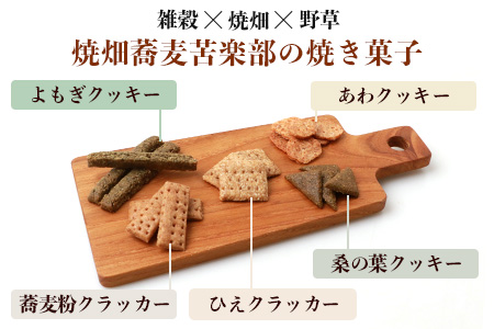 【世界農業遺産の産物】焼畑農家がつくった《選べる》お茶と焼き菓子のセット【秘境・椎葉村】送料無料 国産 野草茶 薬草茶 よもぎ茶 山桑茶 杜仲茶 無添加 無農薬 自然志向  天然 健康 釜炒り 飲み比べ 伝統【YS-60】