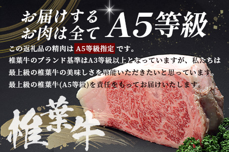 宮崎県産 椎葉牛 切り落とし 2kg A5等級指定［ 宮崎県 椎葉村 国産 国産牛 黒毛和牛 和牛 牛 牛肉 赤身 肉 お肉 a5 A5 すき焼き カレー シチュー 炒め物 冷凍］【TK-30】