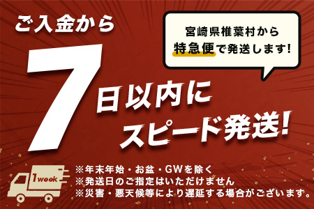【日本三大秘境】【7営業日以内発送】飲めば飲むほど山と村を美しくする山茶 宮崎県椎葉産茶葉100％ 釜炒り茶 緑茶 手摘み リーフ 30g 【送料無料 茶葉 宮崎県産 おちゃ お茶 山茶 釜炒り 便利 黄金 香ばしい 貴重 希少 文化 継承 農家 茶畑 還元 茶畑 健康 健康茶 ティータイム  自然 ギフト お土産 手土産 ご当地 挨拶 贈り物】【MS-03】