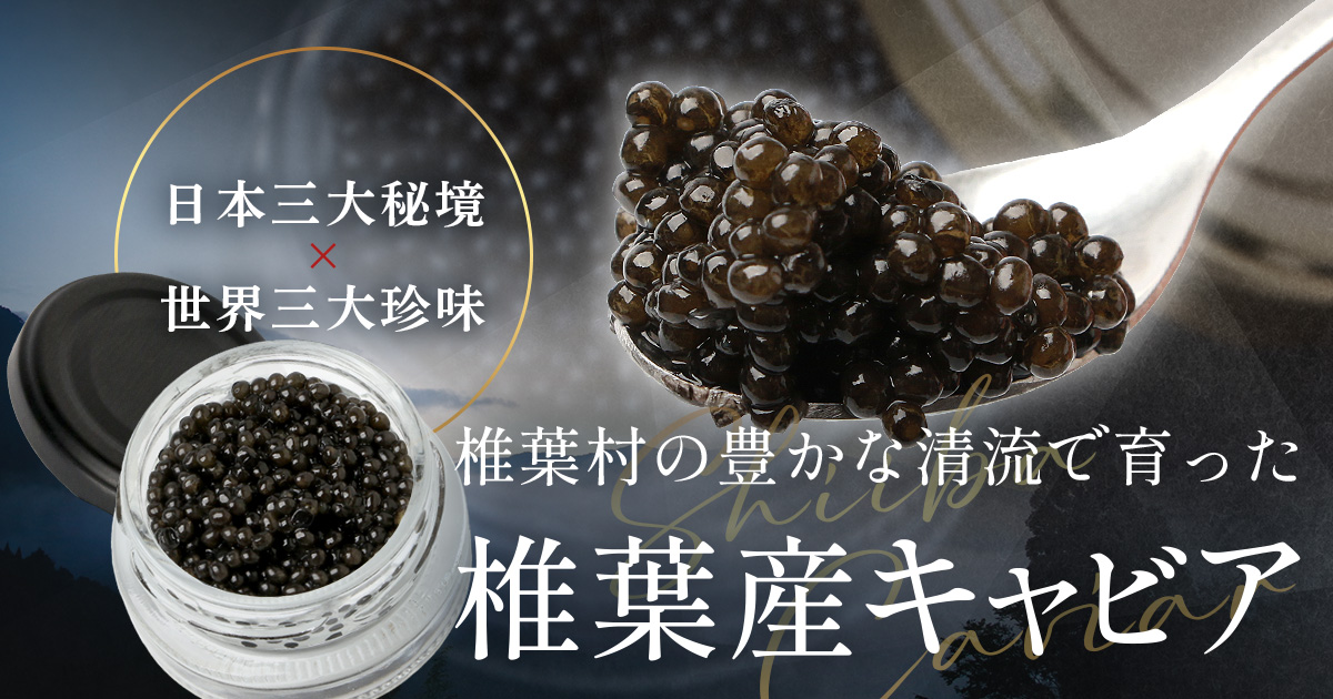 HEIKE CAVIAR 20ｇ×６個【合計120g】【宮崎県 椎葉村】【世界三大珍味×日本三大秘境】［宮崎 椎葉 国産 きゃびあ キャビア チョウザメ 魚卵 卵 クリーミー お酒 魚介 珍味 加工品 冷凍 高級 贅沢 お取り寄せ お取り寄せグルメ ディナー パーティー おつまみ グルメ ギフト 記念日 誕生日 母の日 父の日 お中元 お歳暮 お祝い 贈り物 贈答 桐箱 希少］【SZ-112】