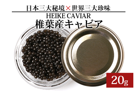 【訳あり】 国産 キャビア HEIKE CAVIAR  20ｇ 【宮崎県 椎葉村】フレッシュキャビア 【世界三大珍味×日本三大秘境】［宮崎 椎葉 国産 ちょうざめ チョウザメ きゃびあ キャビア 20g 魚卵 卵 クリーミー お酒 魚介 珍味 加工品 冷凍 高級 贅沢 お取り寄せ ディナー パーティー おつまみ グルメ ギフト 記念日 誕生日 プレゼント お祝い 贈り物 贈答 父 母 桐箱 希少］【SZ-117】
