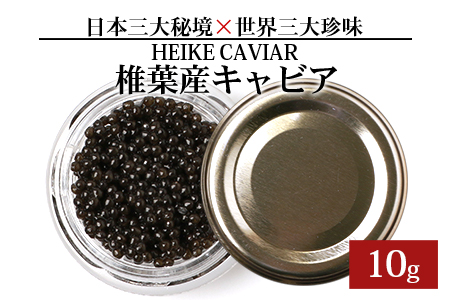 【訳あり】 国産 キャビア HEIKE CAVIAR  10ｇ 【宮崎県 椎葉村】】【世界三大珍味×日本三大秘境】［宮崎 椎葉 国産 ちょうざめ チョウザメ きゃびあ キャビア 10g 魚卵 卵 クリーミー お酒 魚介 珍味 加工品 冷凍 高級 贅沢 お取り寄せ お取り寄せグルメ グルメ ディナー パーティー おつまみ ギフト 記念日 誕生日 プレゼント お祝い 贈り物 贈答 贈答品 桐箱 希少］【SZ-116】