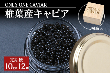定期便 【桐箱入り】【12ヶ月お届け 合計120g(10g×12回)】HEIKE CAVIAR【世界三大珍味×日本三大秘境】 国産 12ヵ月 定期便 チョウザメ キャビア 魚卵 魚介 珍味 贈答 人気 SZ-111