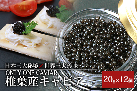 HEIKE CAVIAR 20ｇ×12箱 【合計240g】【世界三大珍味×日本三大秘境】［宮崎 椎葉 国産 ちょうざめ チョウザメ きゃびあ キャビア 魚卵 卵 クリーミー お酒 魚介 珍味 加工品 冷凍 高級 高級品 贅沢 贅沢品 お取り寄せ お取り寄せグルメ ディナー パーティー おつまみ グルメ ギフト 記念日 誕生日 プレゼント お祝い 贈り物 贈答 桐箱 希少］【SZ-114】