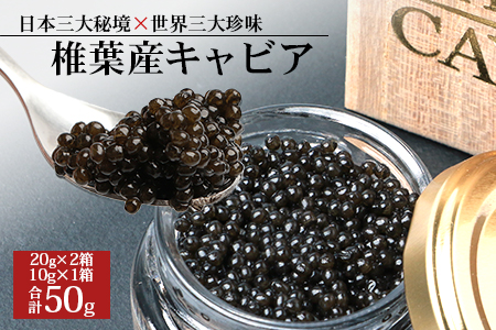【桐箱入り】HEIKE CAVIAR 50ｇ 【宮崎県 椎葉村】【世界三大珍味×日本三大秘境】 国産 チョウザメ キャビア 魚卵 魚介 珍味 贈答 人気 SZ-106