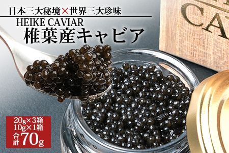 【桐箱入り】HEIKE CAVIAR 70ｇ 【宮崎県 椎葉村】【世界三大珍味×日本三大秘境】 国産 チョウザメ キャビア 魚卵 魚介 珍味 贈答 人気 SZ-109