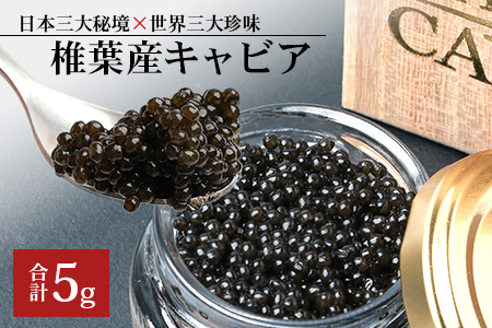 【桐箱入り】 国産 キャビア HEIKE CAVIAR  5ｇ 【宮崎県 椎葉村】【世界三大珍味×日本三大秘境】［宮崎 椎葉 国産 ちょうざめ チョウザメ きゃびあ キャビア 5g 魚卵 卵 クリーミー お酒 魚介 珍味 加工品 冷凍 高級 贅沢 お取り寄せ お取り寄せグルメ グルメ ディナー パーティー おつまみ ギフト 記念日 誕生日 プレゼント お祝い 贈り物 贈答 贈答品 桐箱 希少］【SZ-118】